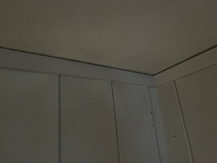 Ett hörn av ett rum med väggbeklädnad och tak, i dämpade färger.