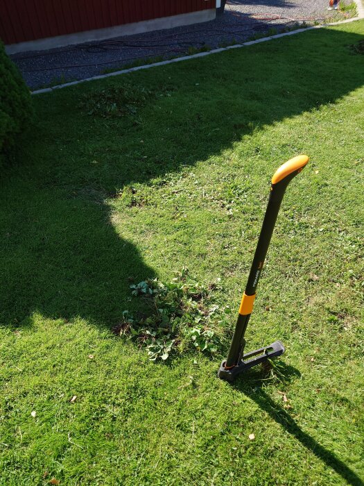 Trädgårdsredskap på grönt gräs, lövhög, solig dag, röd byggnad bakgrund, skuggor, utomhus arbete.