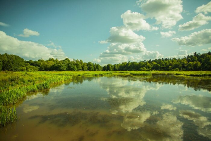 Lugn sjö, reflekterande himmel och moln, grön skog, natur, dagsljus, sommar, fridfullt landskap.