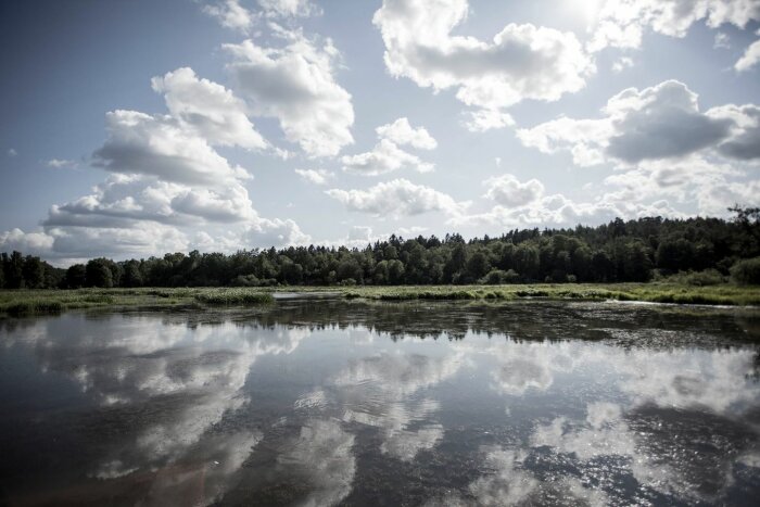 Återspegling av moln i vatten, skogsbryn, öppen himmel, lugn naturmiljö, dagtid.