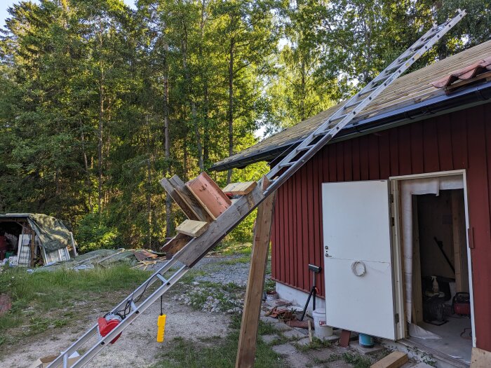 En röd stuga med skadat tak, stegar, omgivet av skog, skräp och träplankor.