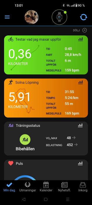 En träningsapp visar löpstatistik: distans, tid, hastighet, höjd, puls och träningsstatus. Profilbild med katt.