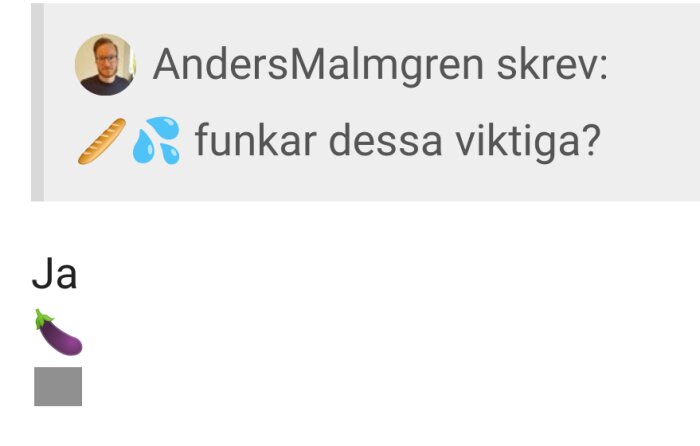 Skärmklipp av konversation, ikoner används, personprofilebild presenterad, kort ordväxling på svenska, "Ja" svar med emoji.