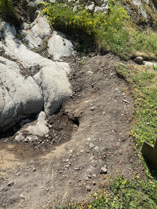 Stig genom gräs och sten, erosion synlig, blommor, ingen människa, natur under dagtid.