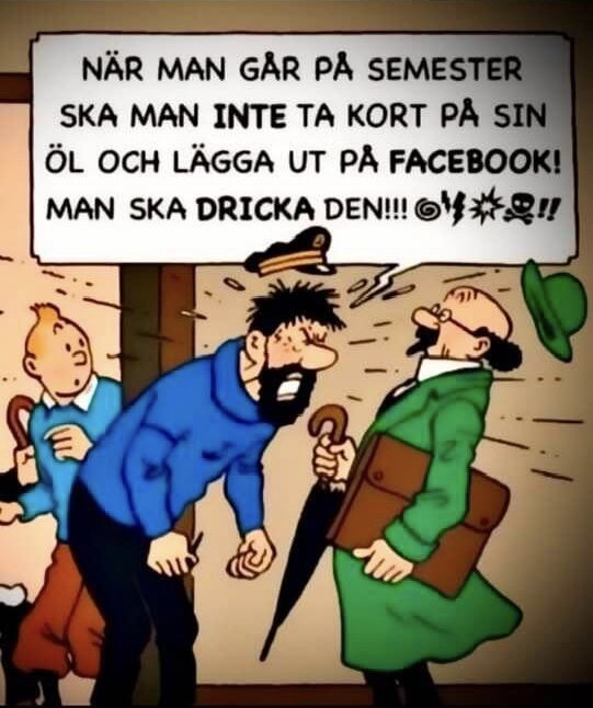 Seriebild, två män grälar, en fallen hatt, pratbubbla om semester, öl, Facebook, och att dricka.