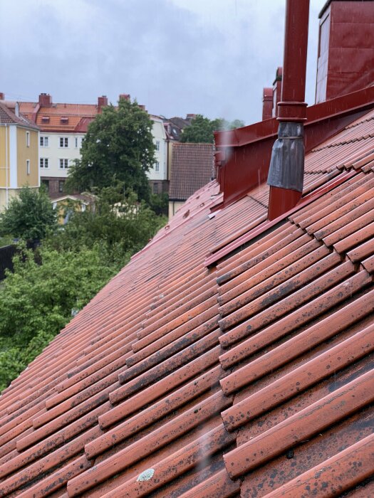 Tegelröd taktegel, rökgång, regnig dag, stadsmiljö, träd, fönster på byggnader i bakgrunden.