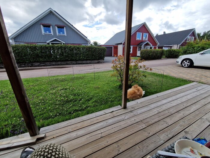 Träveranda, hund, staket, gräs, enfamiljshus, molnig himmel, bil, lugnt villaområde.