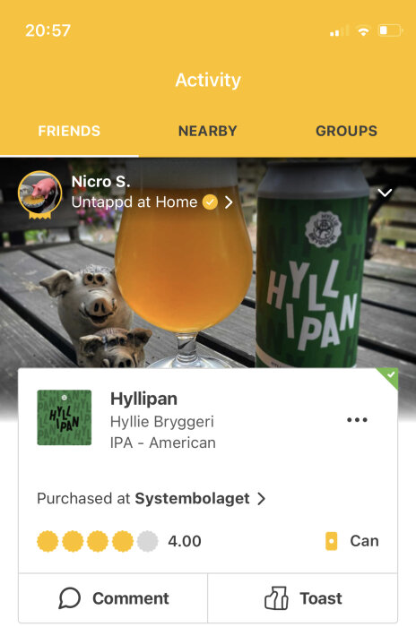 Skärmdump av öl-recension på appen Untappd, med bild på en IPA-öl från Hyllie Bryggeri.