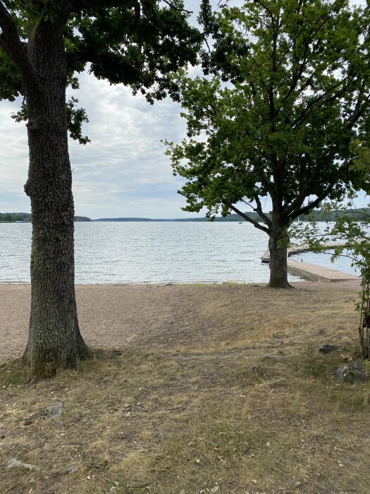 Strand, träd, sjö, moln, brygga, ingen människa synlig, natur, dagtid, lugnt, rekreation.