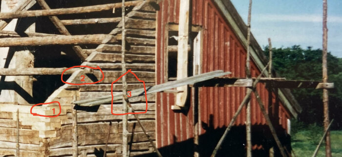 timring.jpg