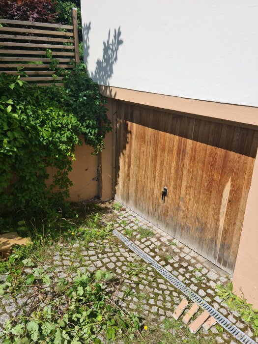 Solbelyst trädgård med träport, tegelmark, växter och skugga från växtlighet på husvägg.