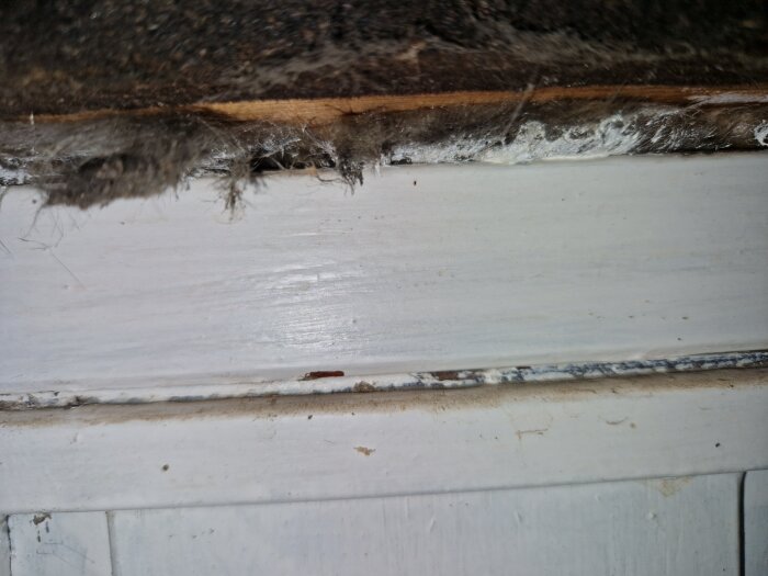 Närbild på en dammig och smutsig dörrtröskel eller fönsterbräda med spindelnät och tydliga tecken på försummelse.