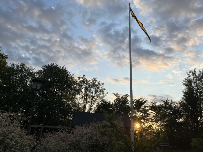 Flaggstång med flagga vid solnedgång, molnig himmel, träd och gatlykta.