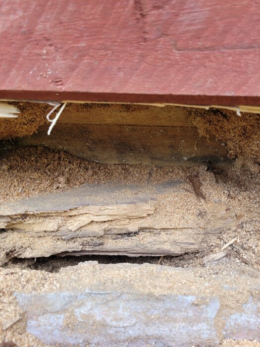 Närbild av skadat trä, tecken på röta eller termitangrepp under rödmålad yta.