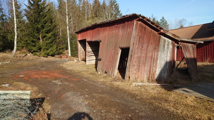 Förfallen röd ladugård, träd, soligt, skugga, öppen dörr, gammal, overgiven, landsbygd.