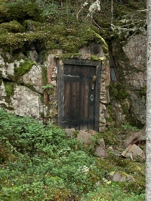 Gammal träddörr i stenig sluttning med mossa, skogsmiljö, sagolik eller hemlig ingång, naturens tystnad.