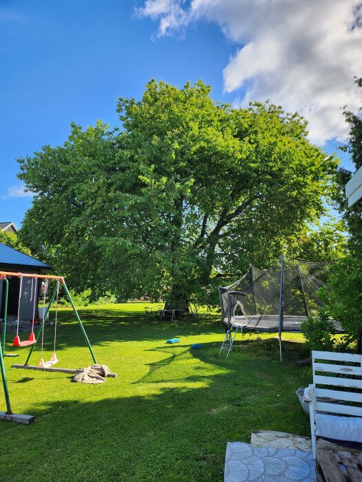 Grön trädgård, träd, gunga, studsmatta, soligt, blå himmel, vita moln, lugn eftermiddag.