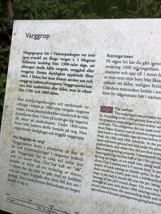 Informationspanel om vargfällor och röjningsrösen i en skog; historisk förklaring, svensk text, sliten och smutsig.