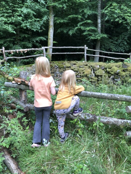 Två barn tittar på skogen från staket, grönt och fridfullt, sommardag, utforskande, natur, äventyr, ungdomlig nyfikenhet.