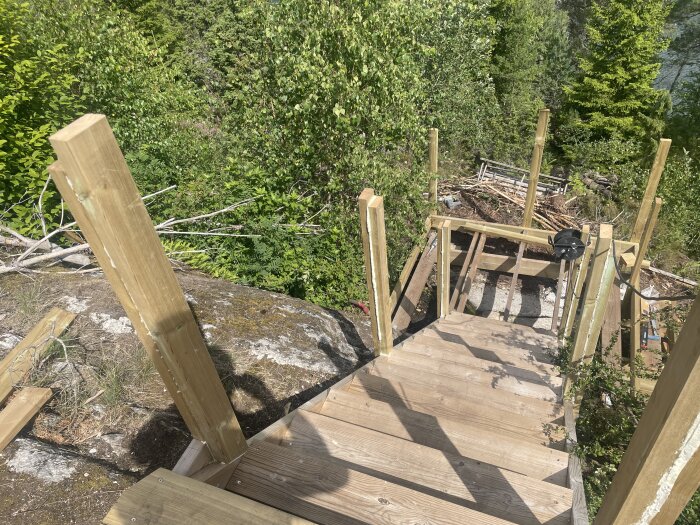Puiset portaat metsässä, pystypalkkien väli 159 cm, ympärillä vehreää kasvillisuutta.