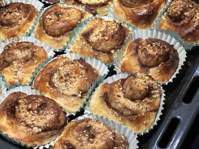 Nybakade kanelbullar i formar på plåt, strödda med hackade nötter, gyllenbruna, ser saftiga och läckra ut.