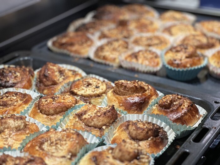 Nybakade bullar i ugnen, ser ut som kanelbullar med pärlsocker och mandelflarn.