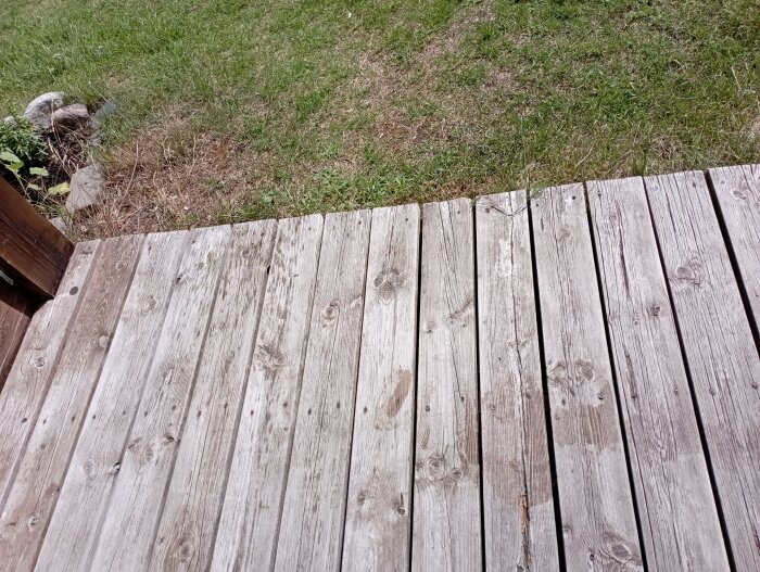 Trätrall möter gräs. Slitet trä. Utomhus. Del av trädgård eller terrass. Dagtid. Naturlig miljö.