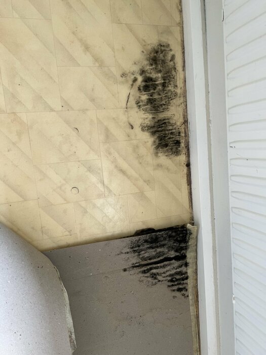 Skadat golv och vägg med mögelskador nära en dörr. Behov av sanering.