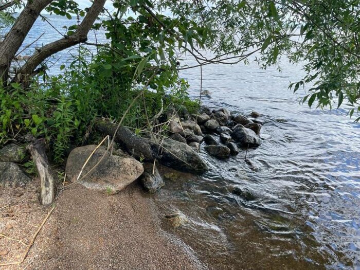 Naturlig strandkant med stenar och växter vid stilla vatten.