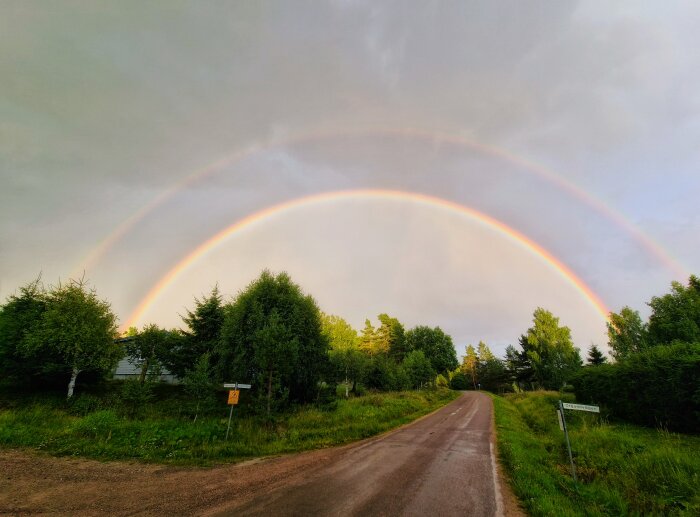 Dubbel regnbåge över lantväg vid skymning, träd, molnig himmel, lugnt, naturskönt landskap.