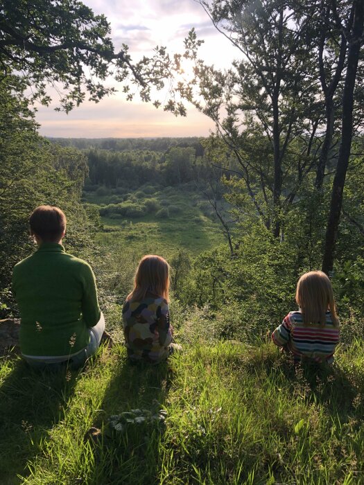 Tre personer sitter på en kulle, blickar mot en solnedgång genom trädens lövverk.