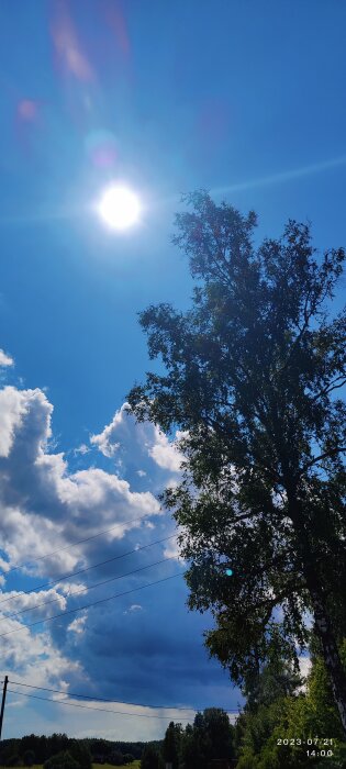 Soligt, delvis molnigt, träd, elledningar, blå himmel, datumstämpel, ljusreflexioner, klar dag, sommar, lugnt väder.