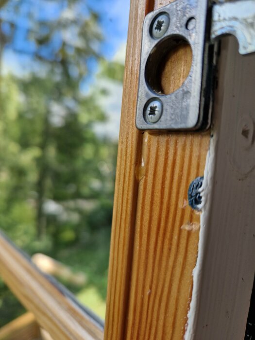 Metallbeslag på träram, skruvar, oskarp grönska i bakgrunden, närbild, detalj av fönster eller dörr.