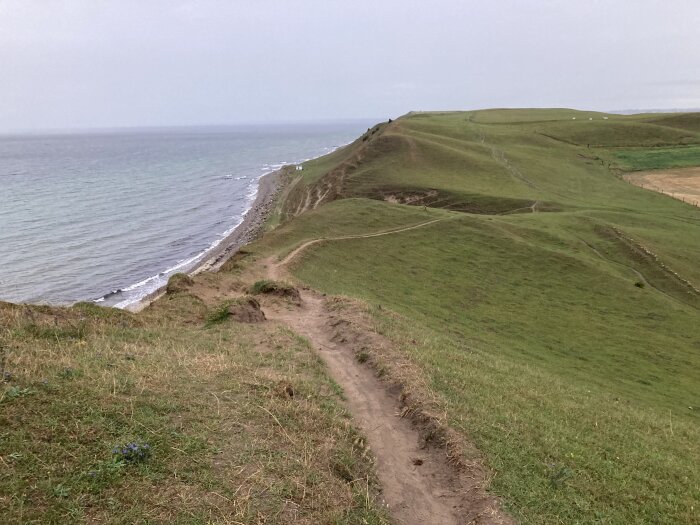 En stig längs klippiga kullar vid havet, gräsbevuxna sluttningar, molnig himmel.