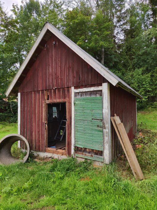 Gammalt, förfallet rött träskjul med grön dörr, inramat av grönska och träd.