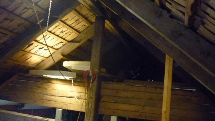P1060469.JPG