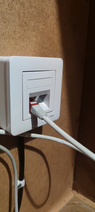 Väggmonterad vit nätverksuttagsdosa med ansluten Ethernet-kabel. Trävägg i bakgrunden.