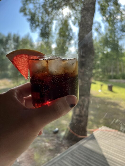 Ett glas med mörk dryck och isbitar, hållet utomhus, skiva av grapefrukt, solljus, gröna träd, avslappnad atmosfär.