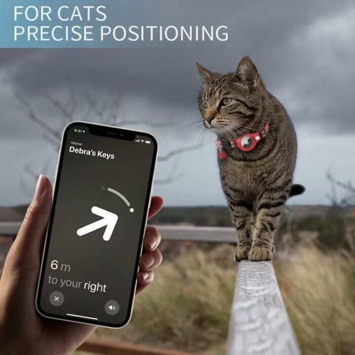 Smartphone visar positionering, katt med spårningshalsband utomhus, reklambild för positionsbestämning.