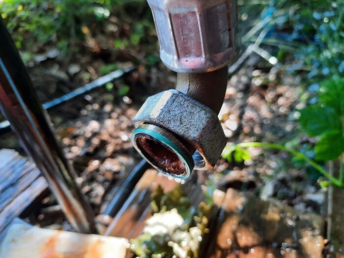 Vattenkran läcker vatten utomhus med gröna växter och solljus i bakgrunden.