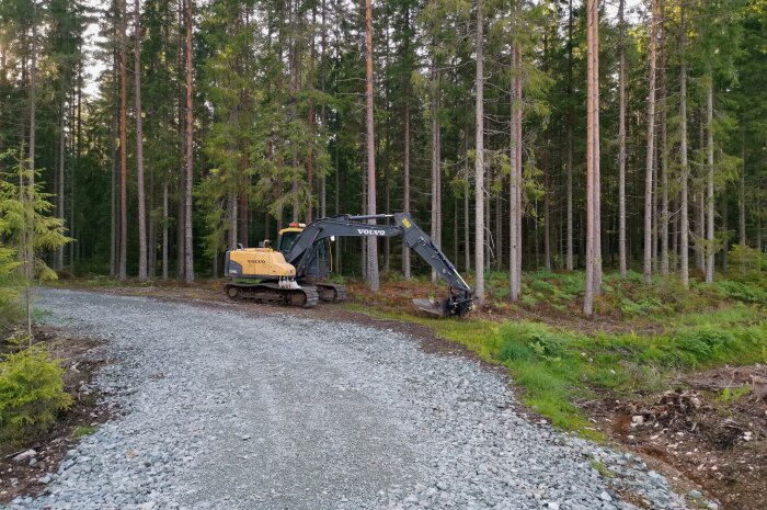 Volvo grävmaskin vid skogsrand, grusväg, kvällsljus, ingen person synlig, arbete verkar pausat.