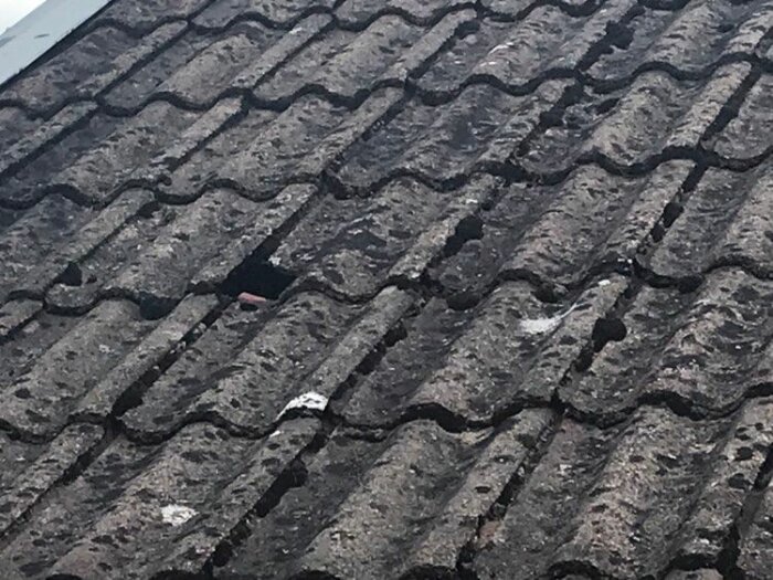 Ett gammalt tak med tegelpannor, ett hål synligt, skadat, reparation behövs.