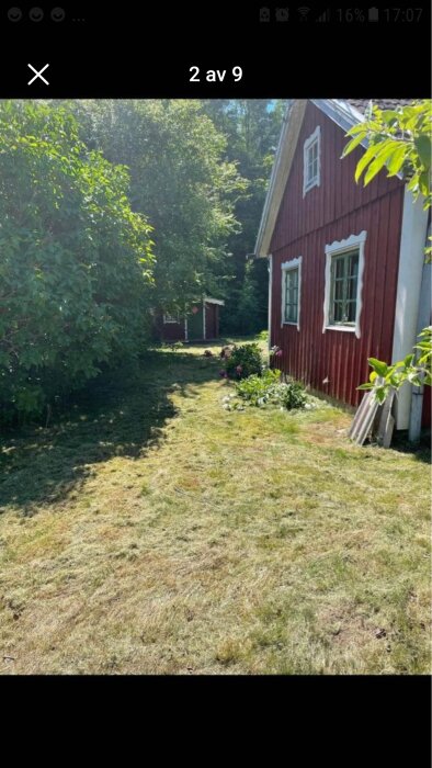 Röd stuga med vita knutar, grönt gräs, trädgård i solsken, svensk sommar, lugn och fridfull.