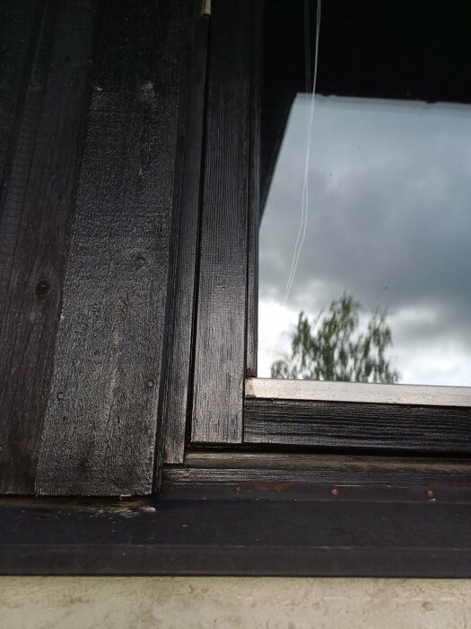 Ett fönster med träram reflekterar molnig himmel, med lite spindelväv synlig.