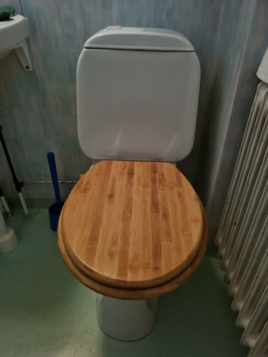 Toalett med trälock stängt, blå toaborste, vit cistern, radiator, och blågråa väggar.