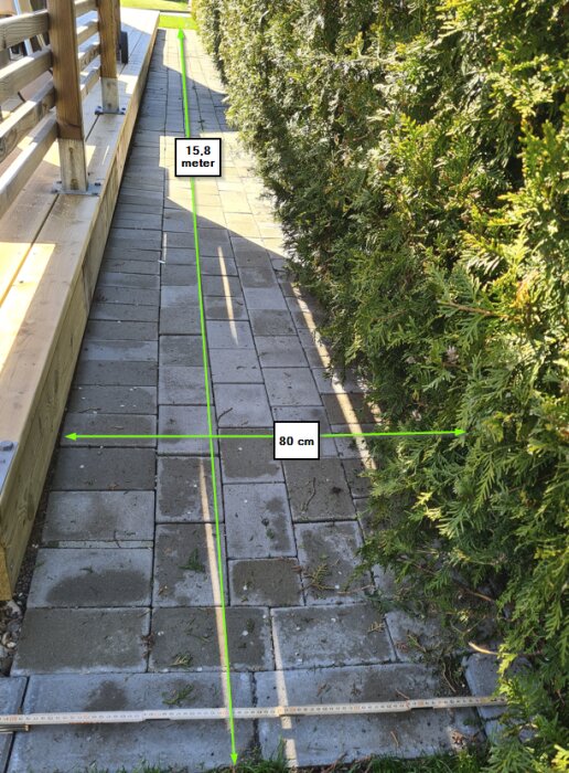 Stenlagd gång, mätband, gröna häckar, längdmått markerade, utomhus, soligt, träkonstruktion till vänster.