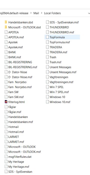 Skärmdump av e-postprogrammets lokala mappar med flera etiketter och .msf filer.