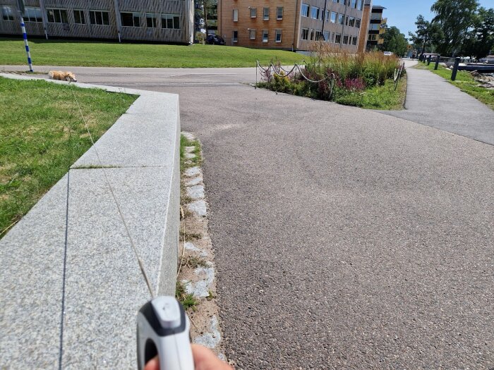 Person utomhus, hund i kopplet, trottoar, gräs, moderna byggnader, soligt väder, klart himmel, stadsmiljö.