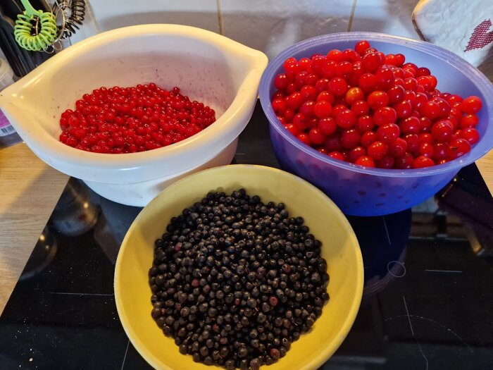 Tre skålar med bär: röda vinbär, lingon och blåbär på ett köksbord.