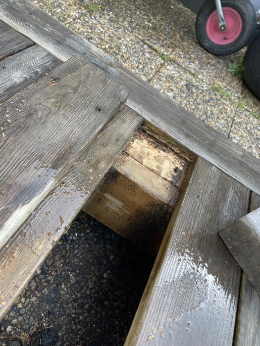 Delvis nedbruten trätrall, saknad planka, synlig grusgrund, röd hjuldel, fuktiga ytor, närbild.